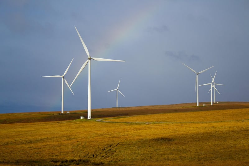 Sustainability and Green Initiatives